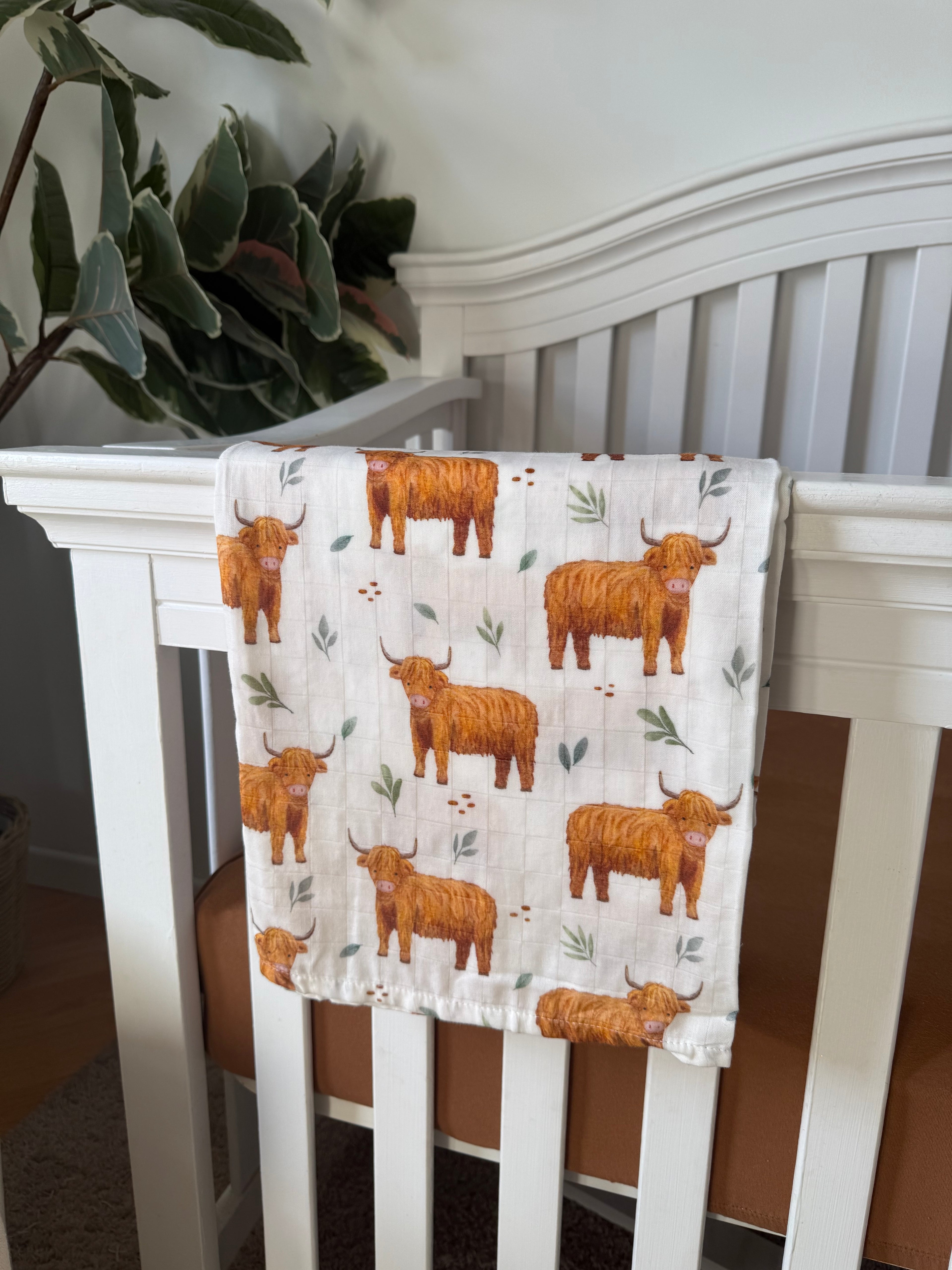 Mousseline - highland